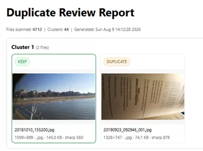 Dedup Review Report